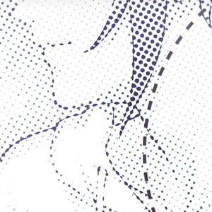 成人毛片一区二区三区
