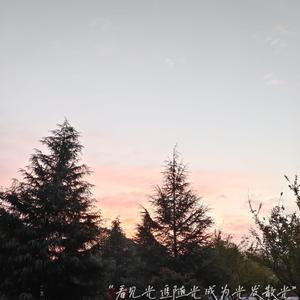 成人毛片一区二区三区
