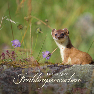 成人毛片一区二区三区
